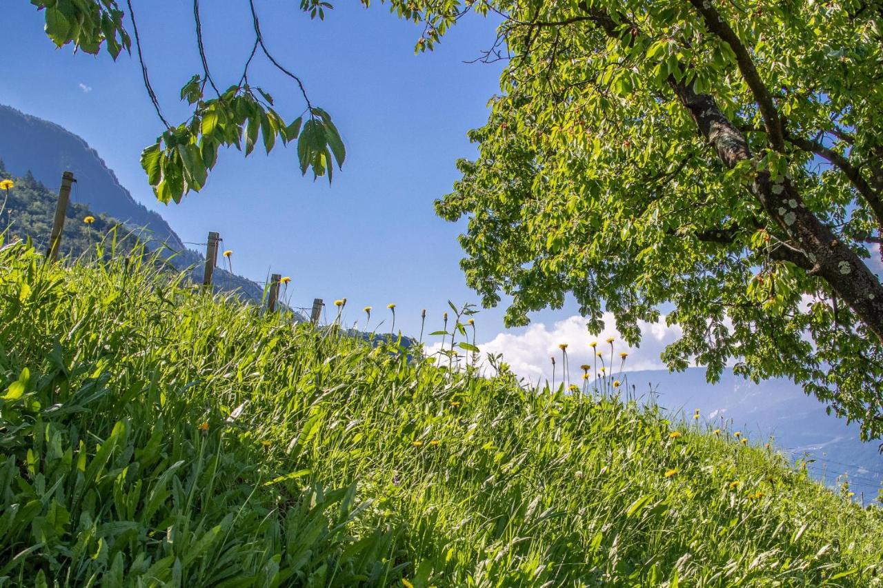 Ferienwohnung Pinot Merano Eksteriør billede