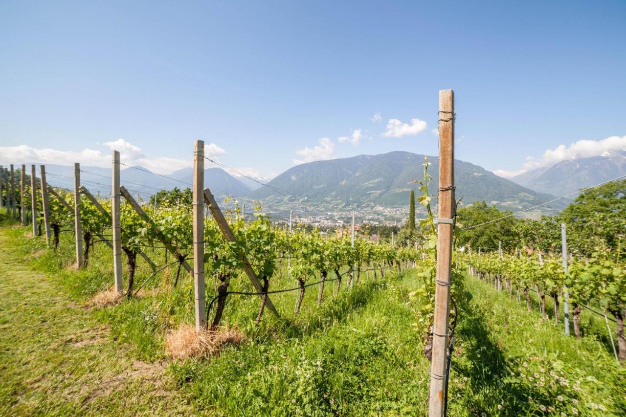 Ferienwohnung Pinot Merano Eksteriør billede